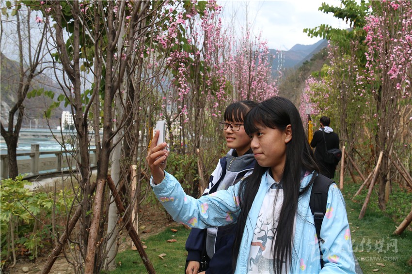春光俏！“醉”是瀘定春三月，踏青賞花正當(dāng)時(shí)
