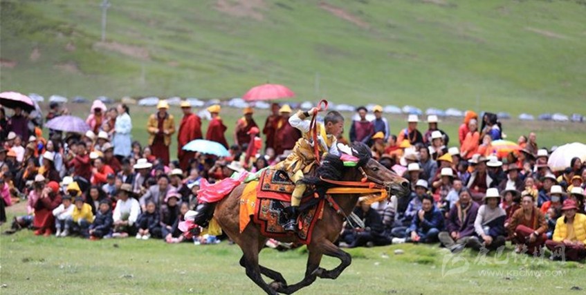 格?；ㄊ㈤_ 牧民馬背上一顯身手