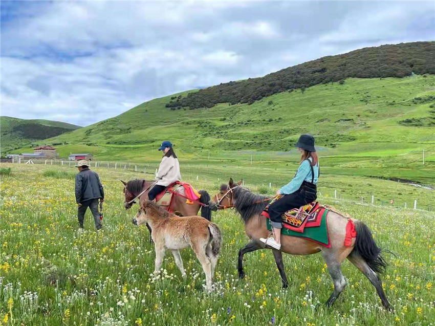 游客在祝桑花海體驗(yàn)騎馬  任剛.jpg