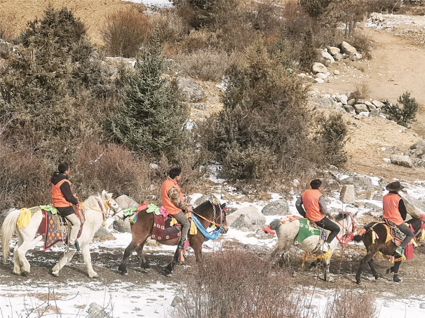 圖為巡護(hù)隊(duì).jpg 圖為巡護(hù)隊(duì).jpg