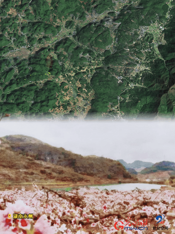 清明游玩賞花圖鑒來了！衛(wèi)星鏡頭帶你先睹為快