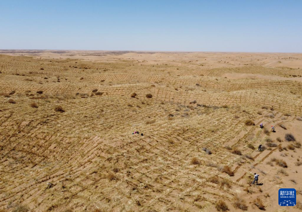 2024年4月10日，群眾在古浪縣八步沙林場麻黃塘沙區(qū)用草方格壓沙。新華社發(fā)（無人機(jī)照片）